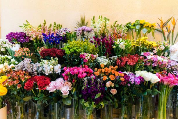 Fresh Bouquet of Assorted Seasonal Flowers