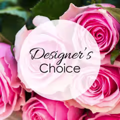 Designer's Choice Subscription