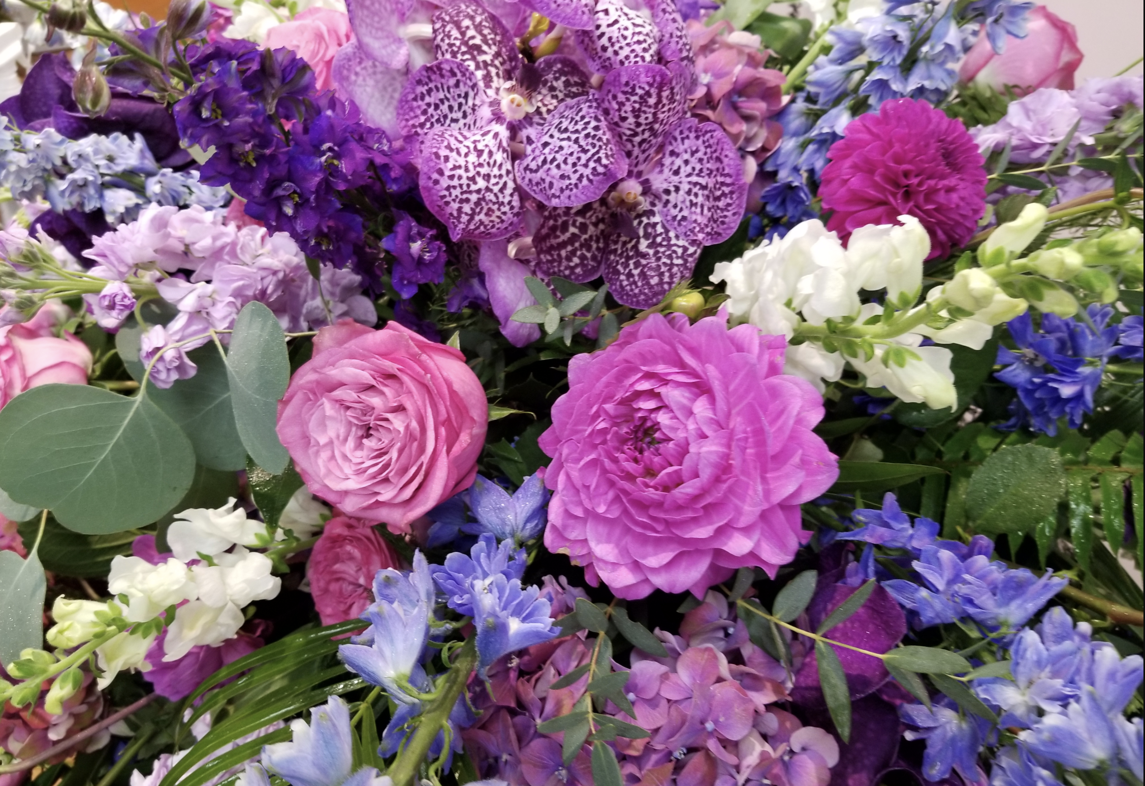 Weekly Subscription 