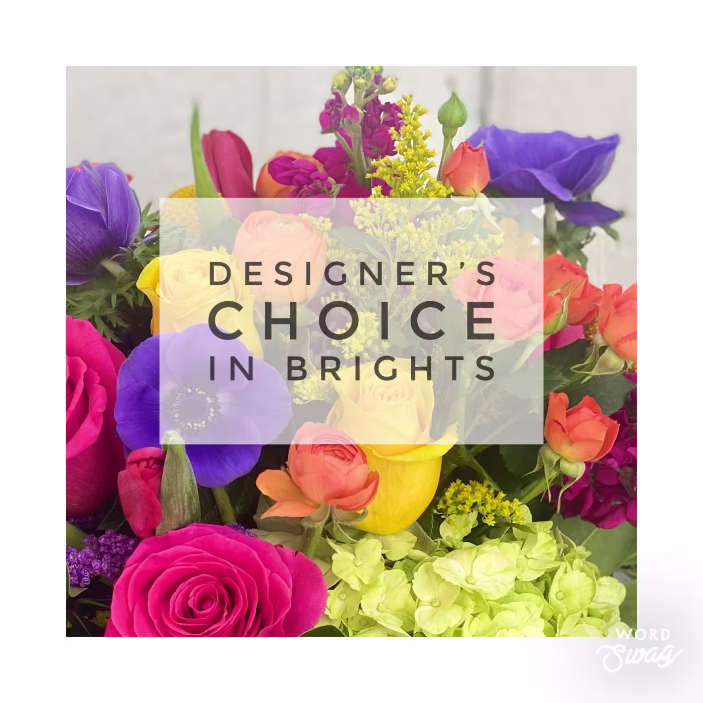Designers Choice in Brights