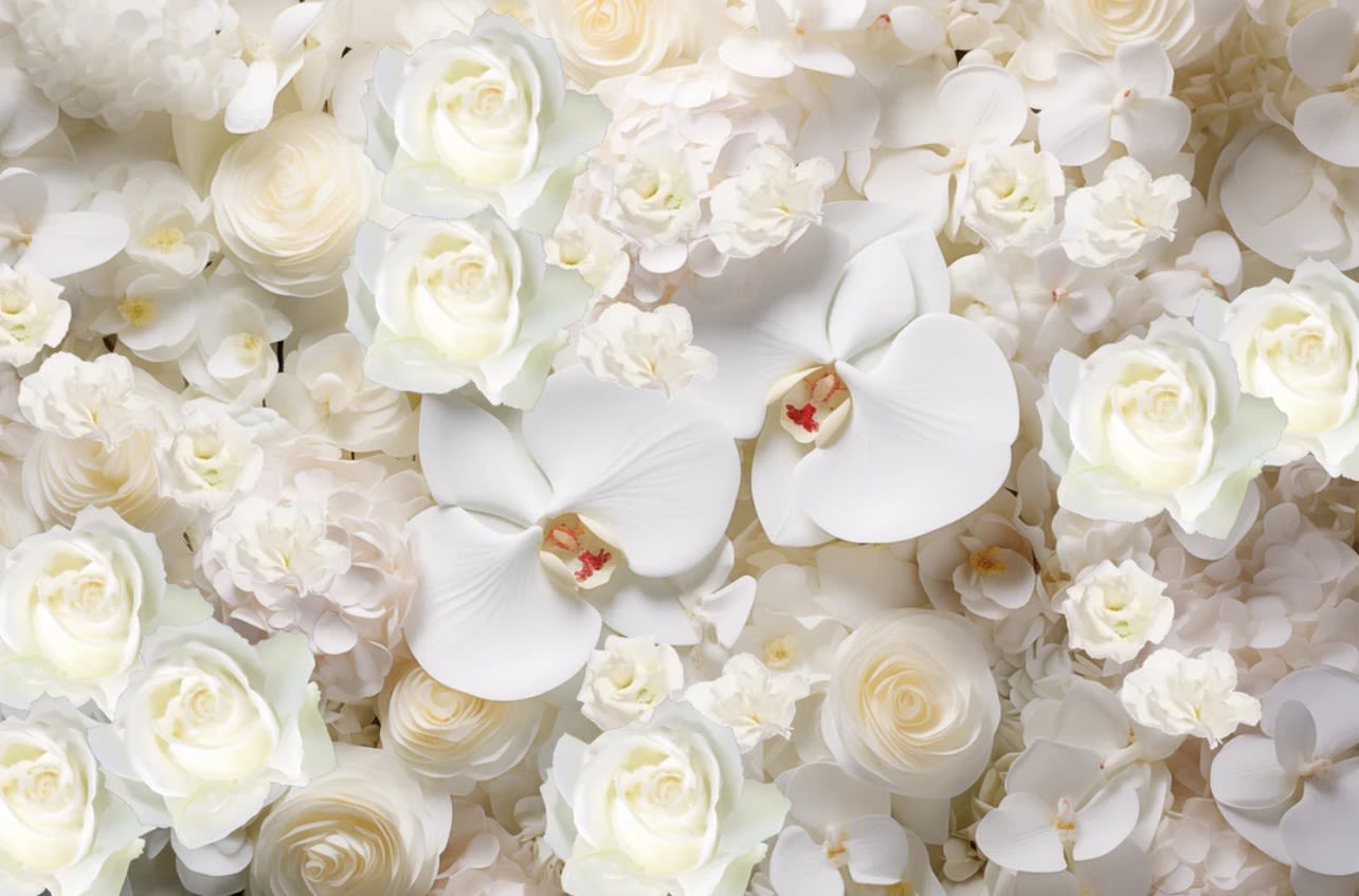 All White Designer Choice 