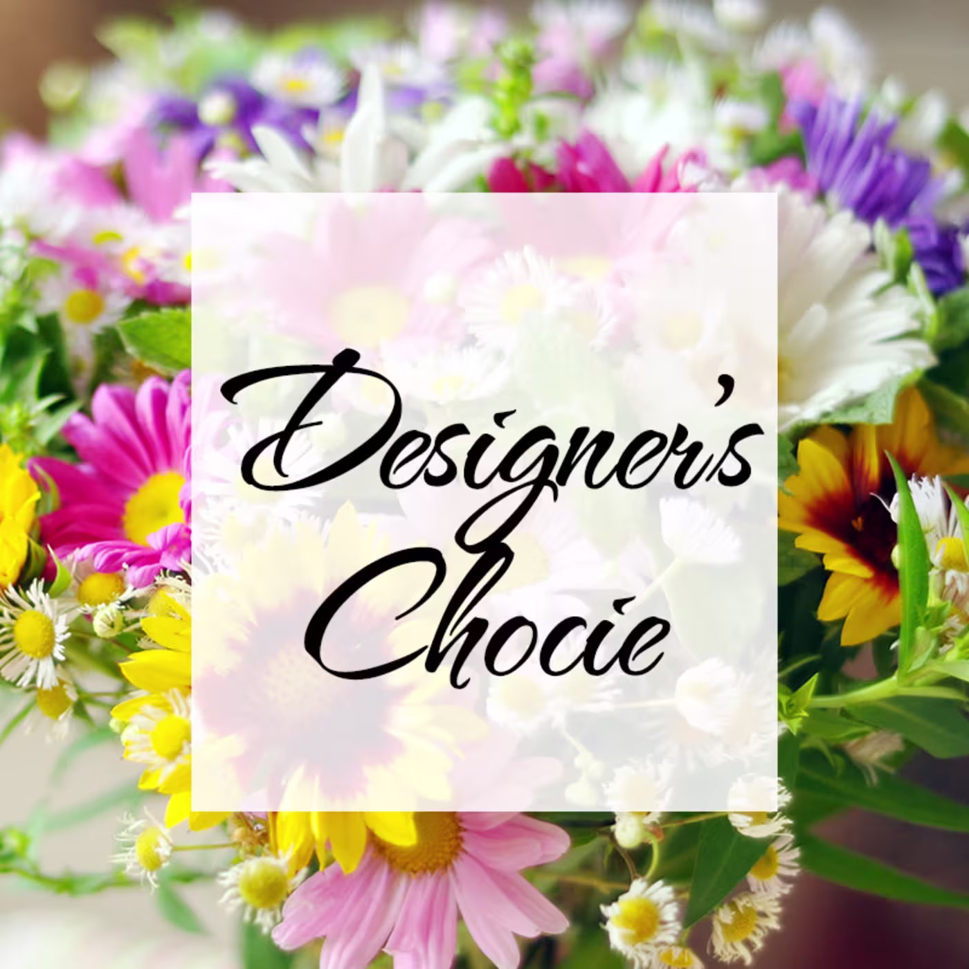 Designer choice seasonal 