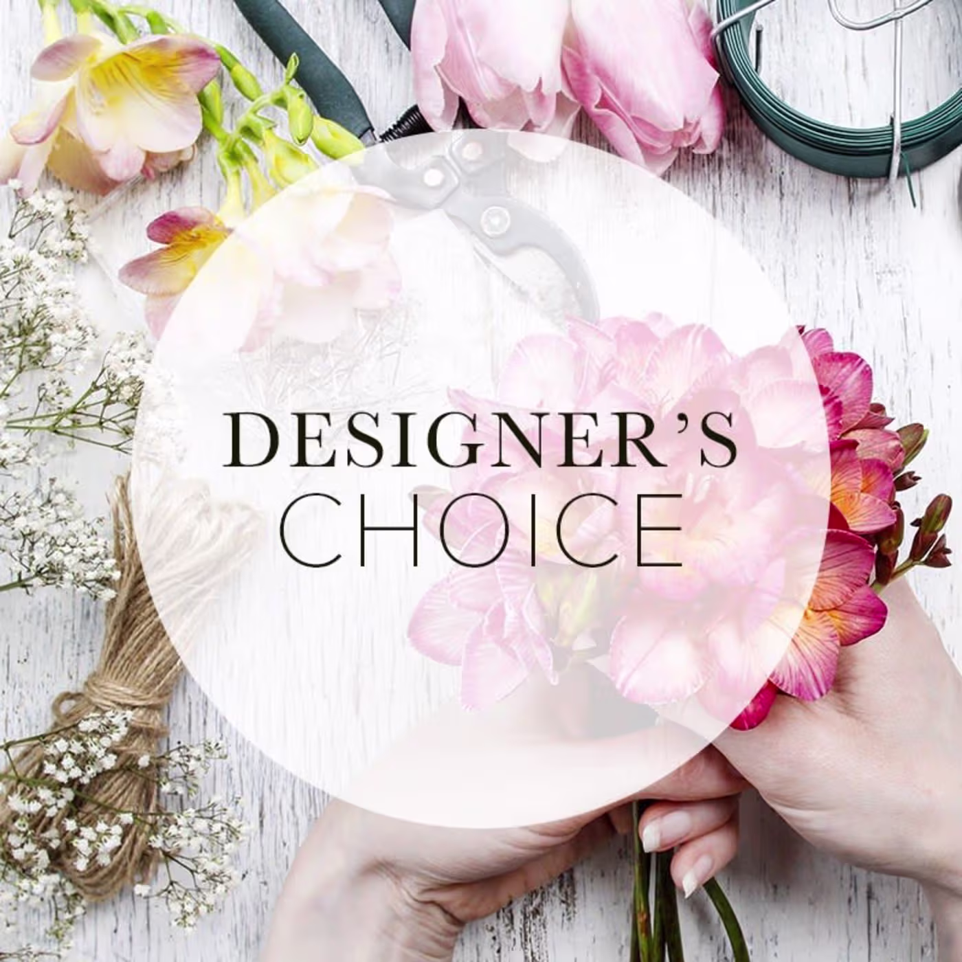 Designer's Choice Small