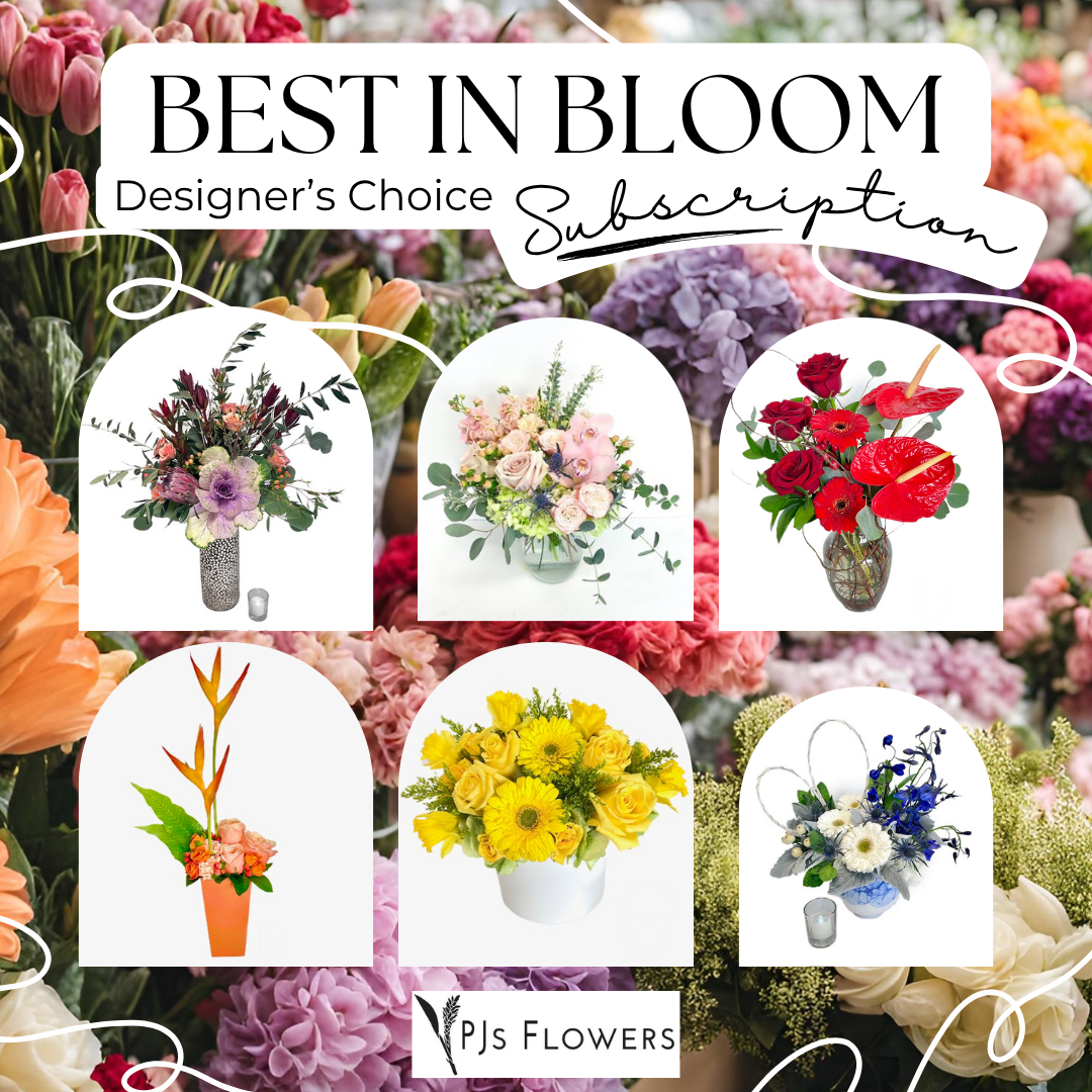 Best in Bloom, Everyday Gift Subscription 