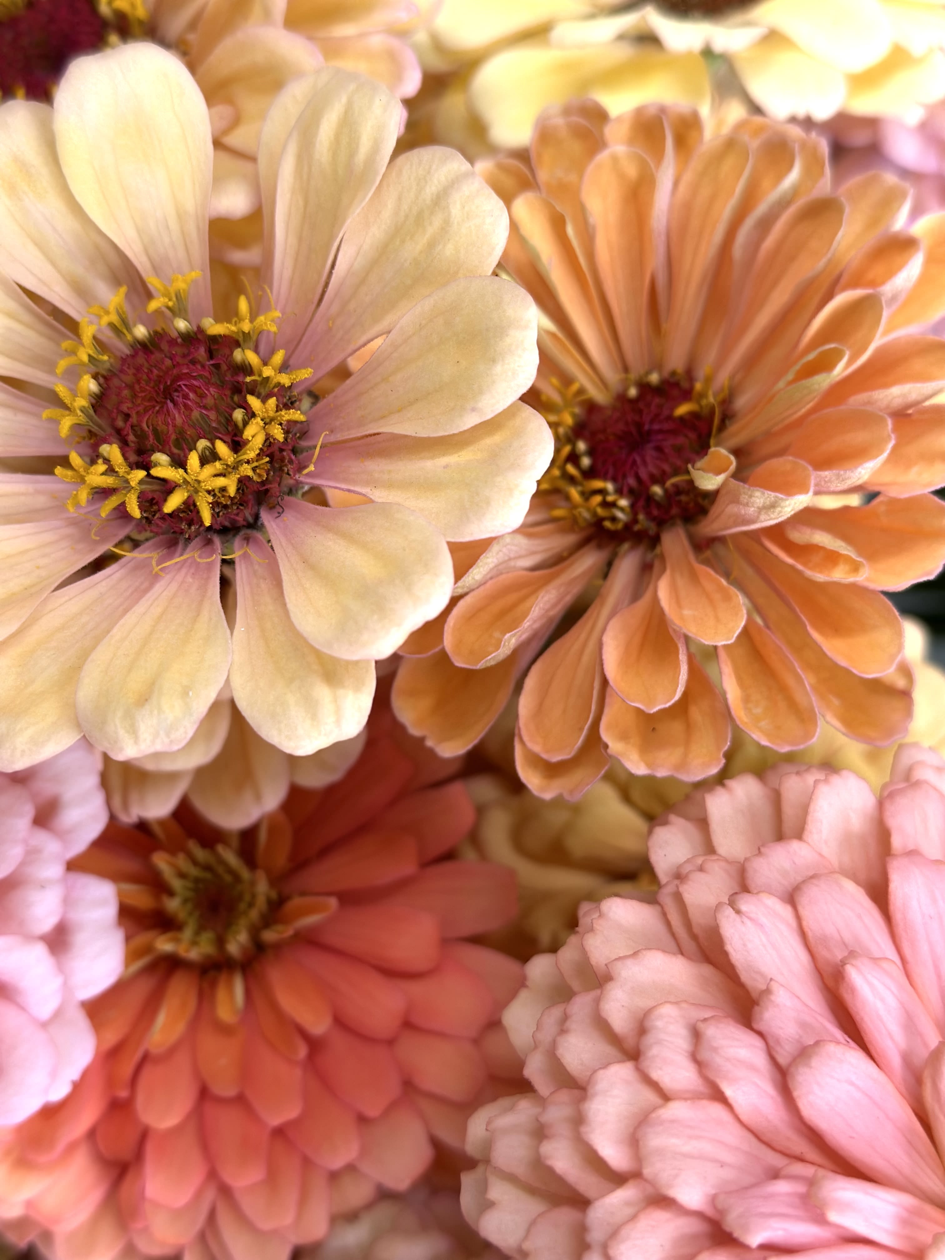 Designer’ Choice Seasonal bouquet