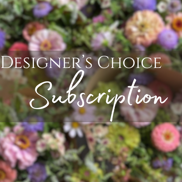 Designers Choice Subscription