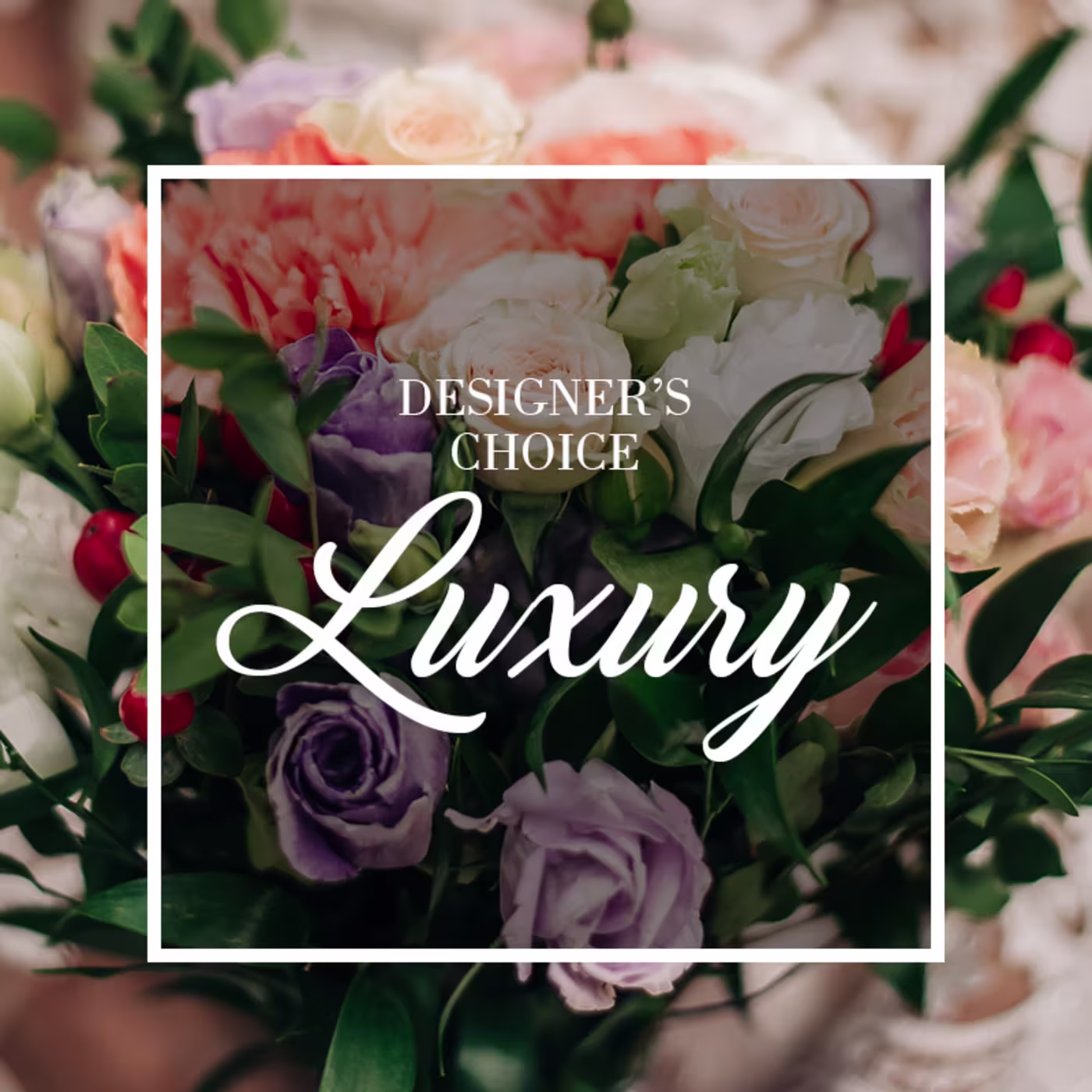 Designer's Choice - Luxury