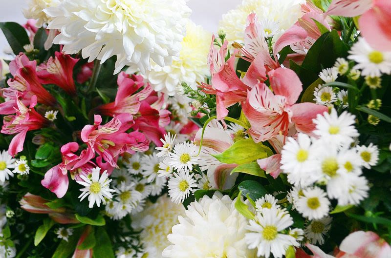 Flower Subscriptions