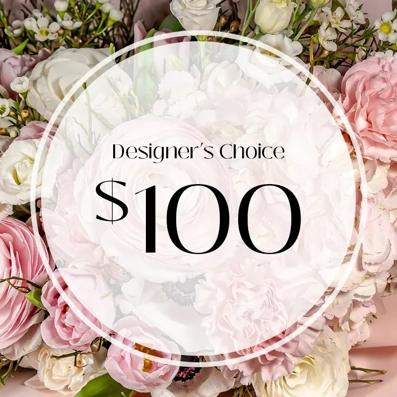 Designer Choice Seasonal Arrangement 