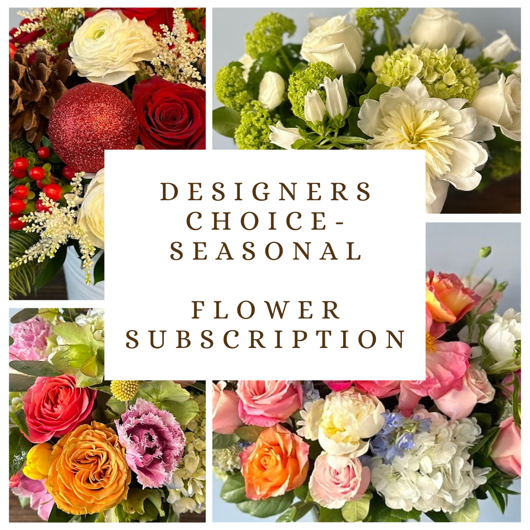 Designers Choice- Seasonal