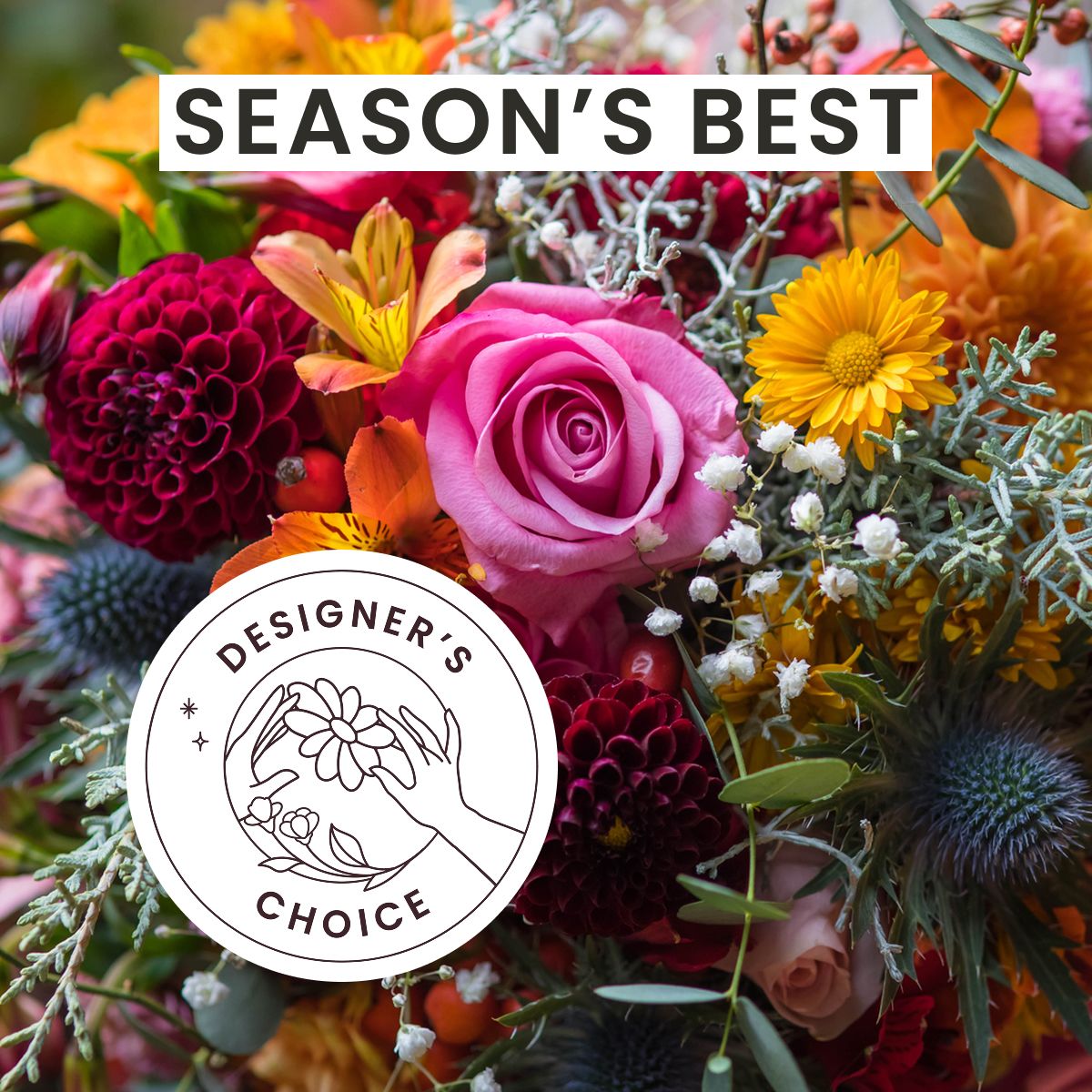 Designer's Choice Flower Subscription 