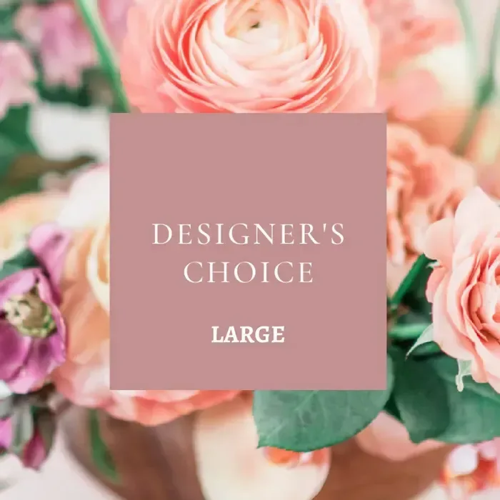 Designer's Choice - Large Box 