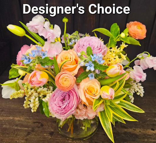 Designer's BEST!