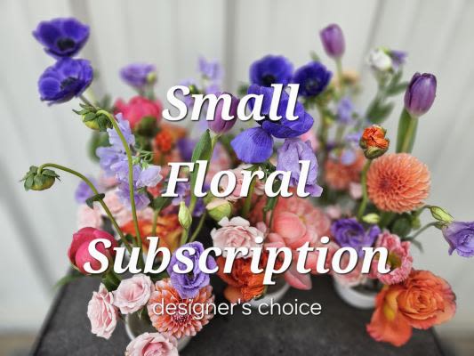 Small Designer's Choice Arrangement 