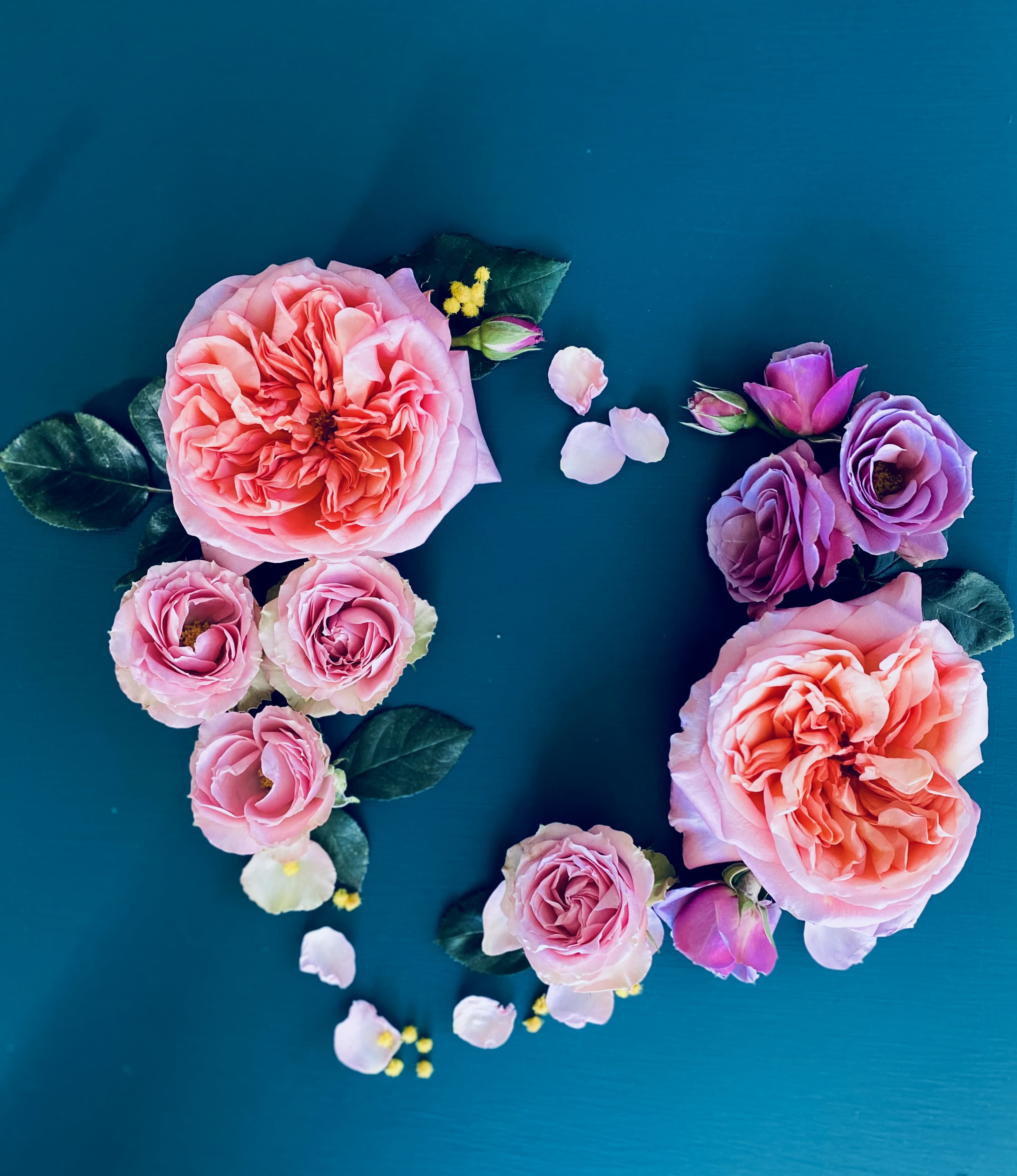 May Flowers Hug Your Heart