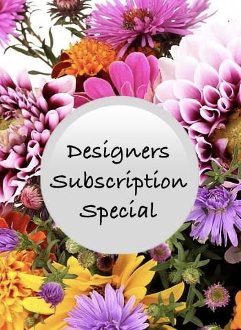 Designers Subscription Special