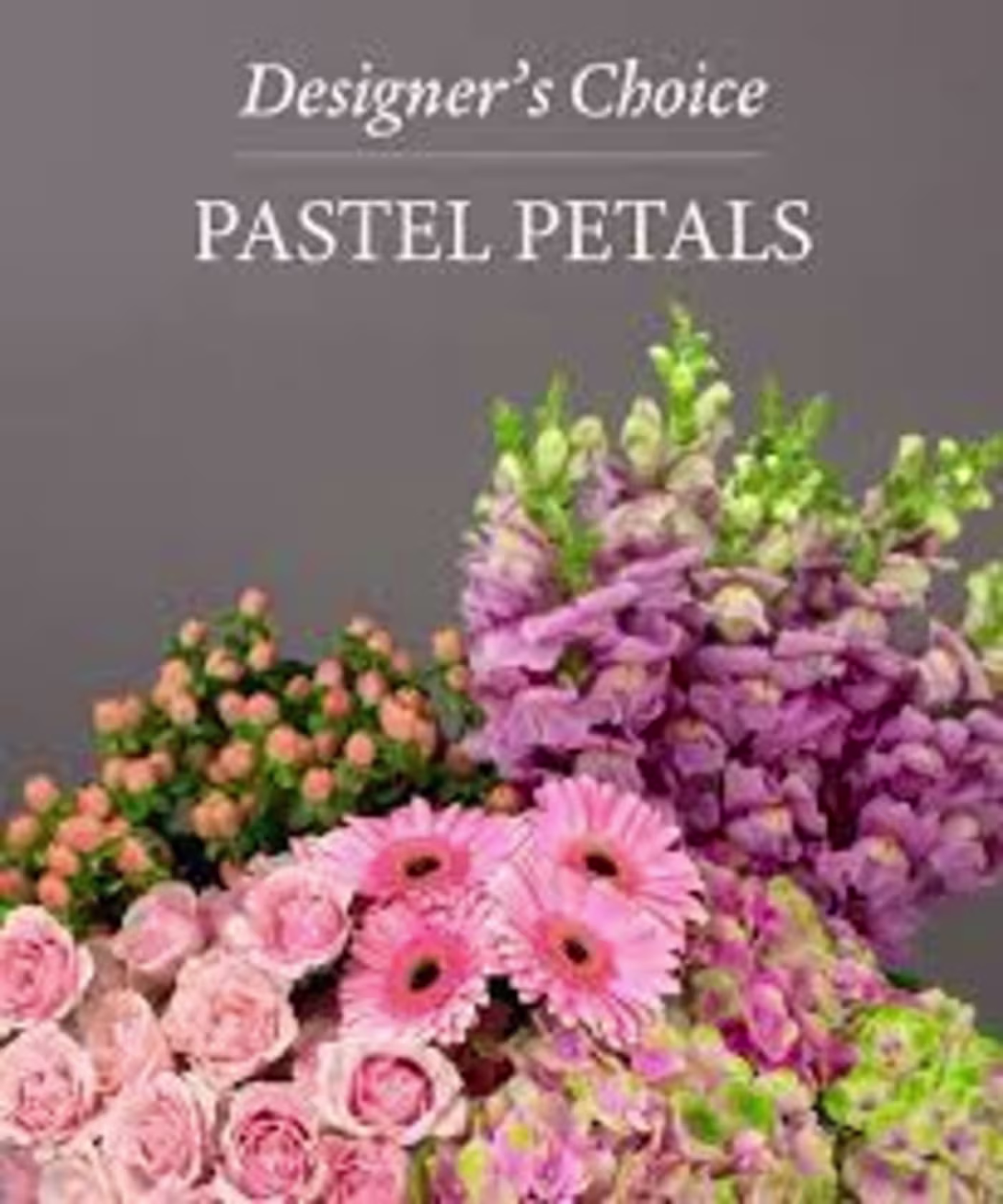 Designer's Choice - Pastel