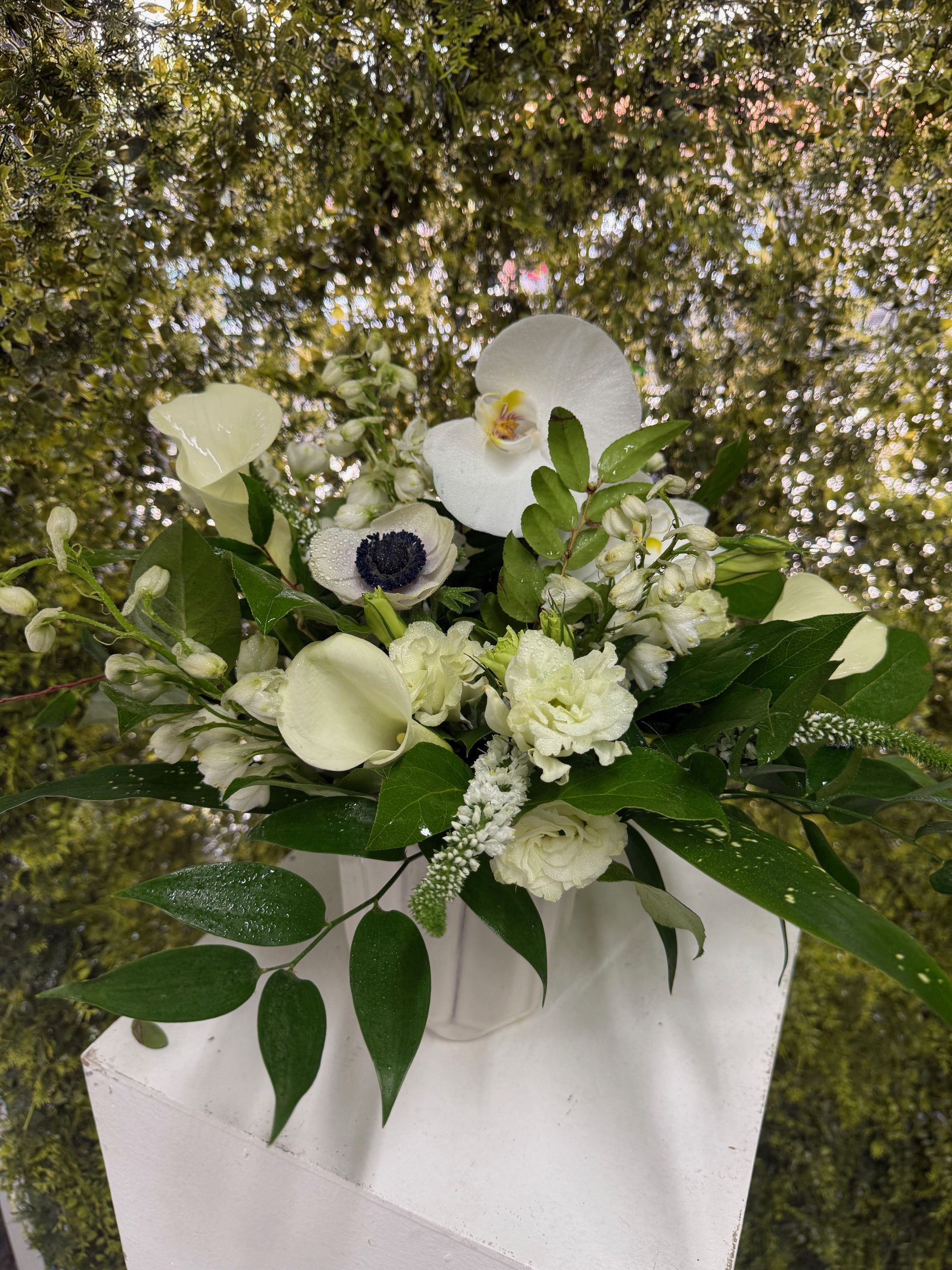 Small Arrangement 