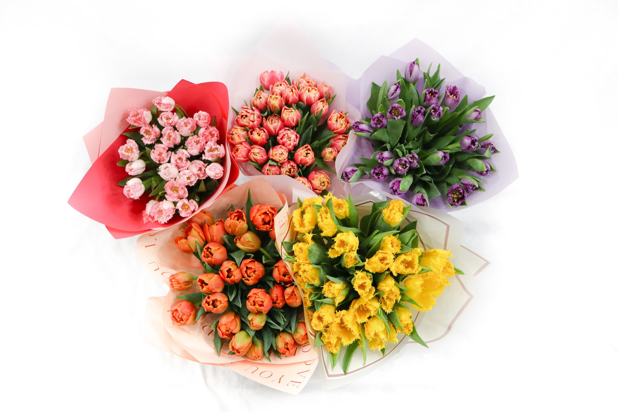 Tulips