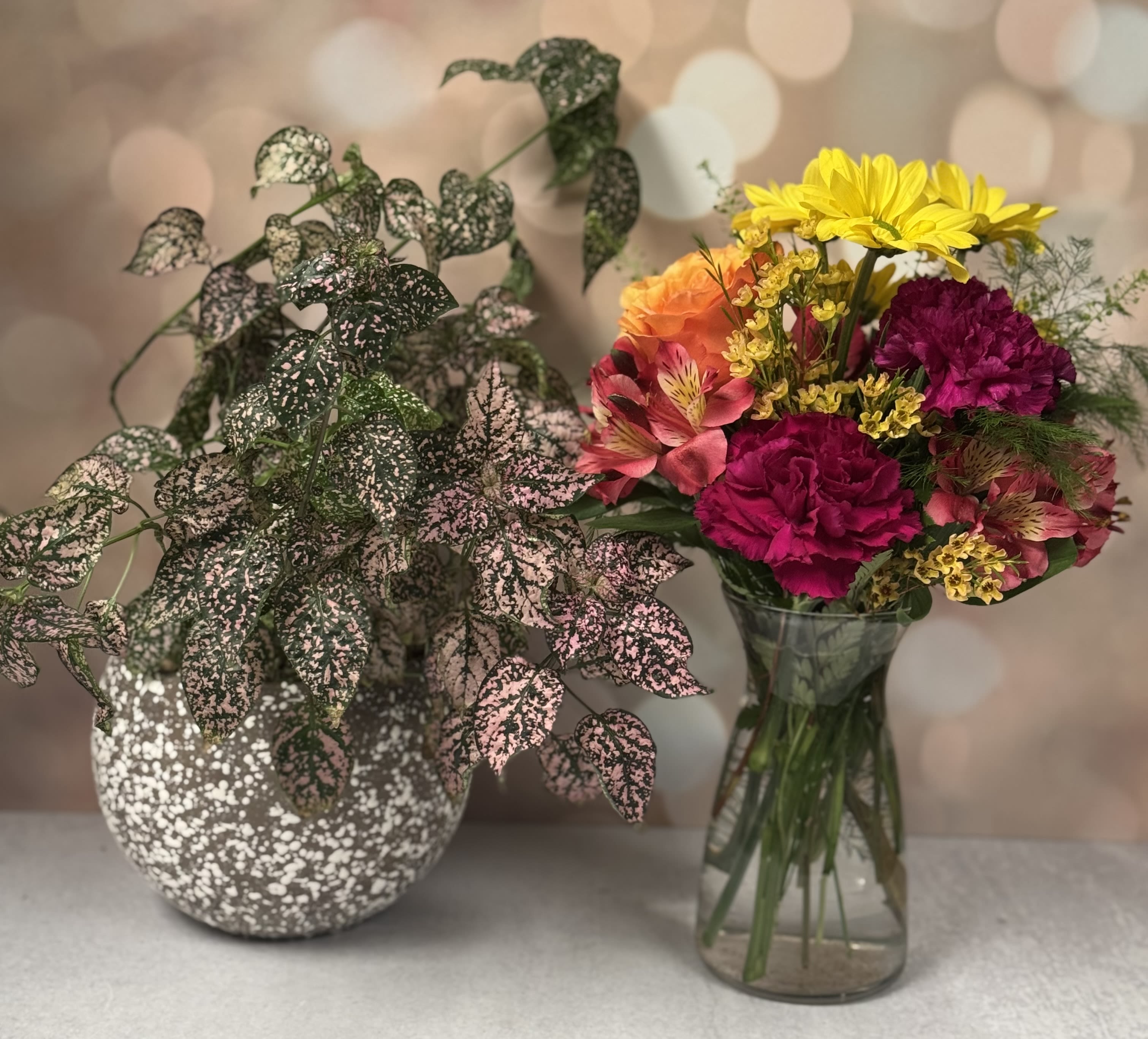 Standard Vase OR Plant of the Month with Deluxe and Premium UPGRADES.
