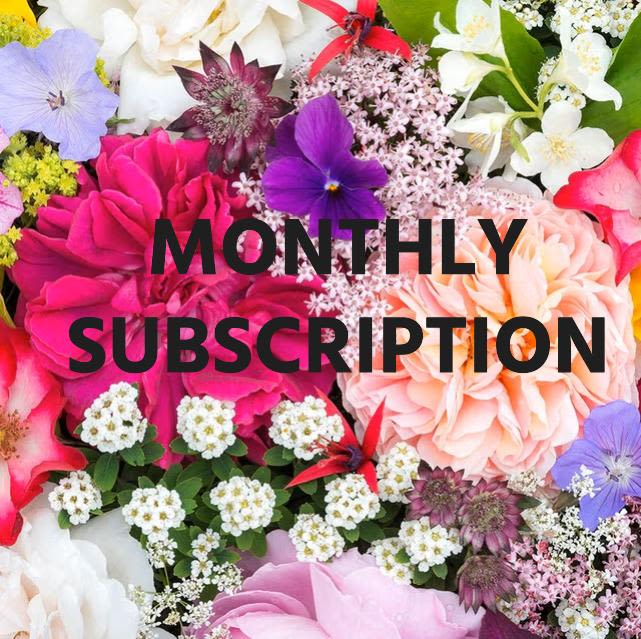 Monthly Subscription