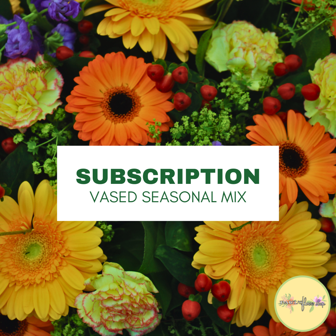 Seasonal Vase Arrangement Subscription