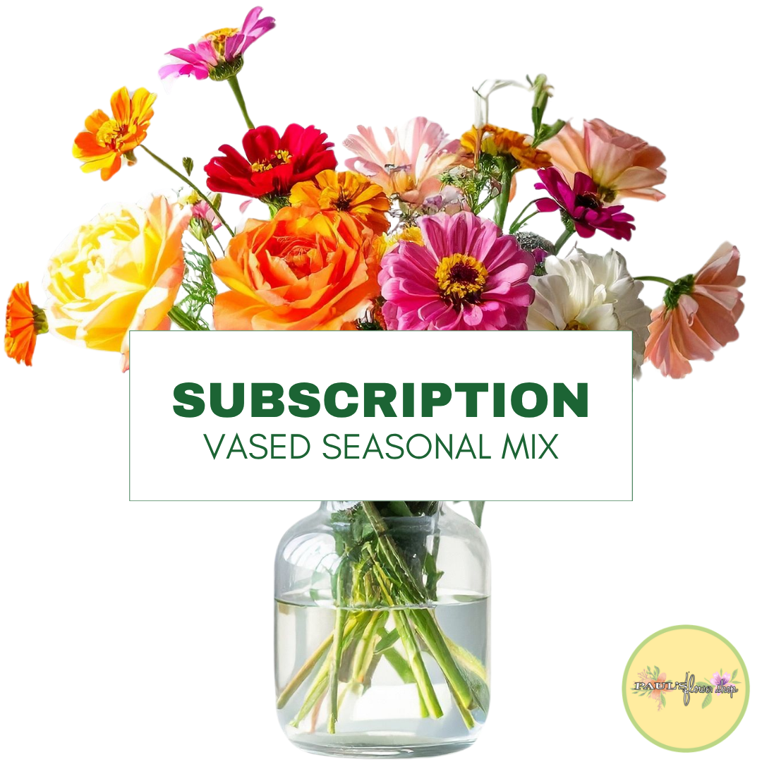 Seasonal Vase Arrangement Subscription