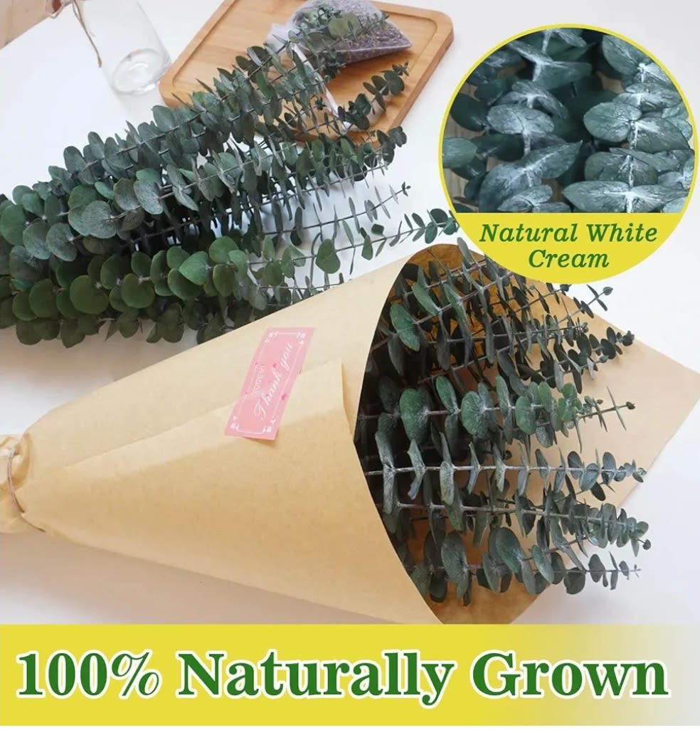 Eucalyptus Shower Bundle