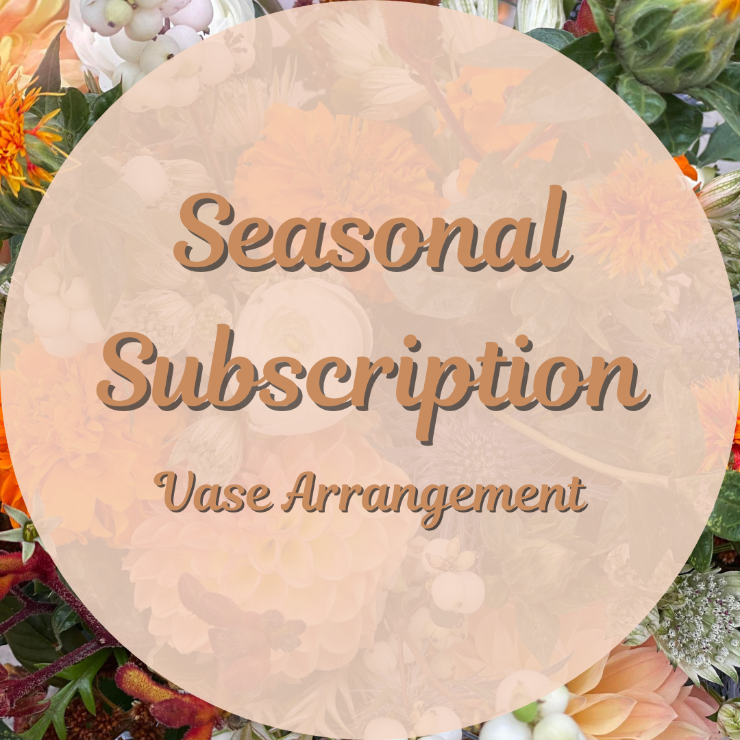 Seasonal Vase Arrangement