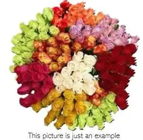Dozen Rose Subscription