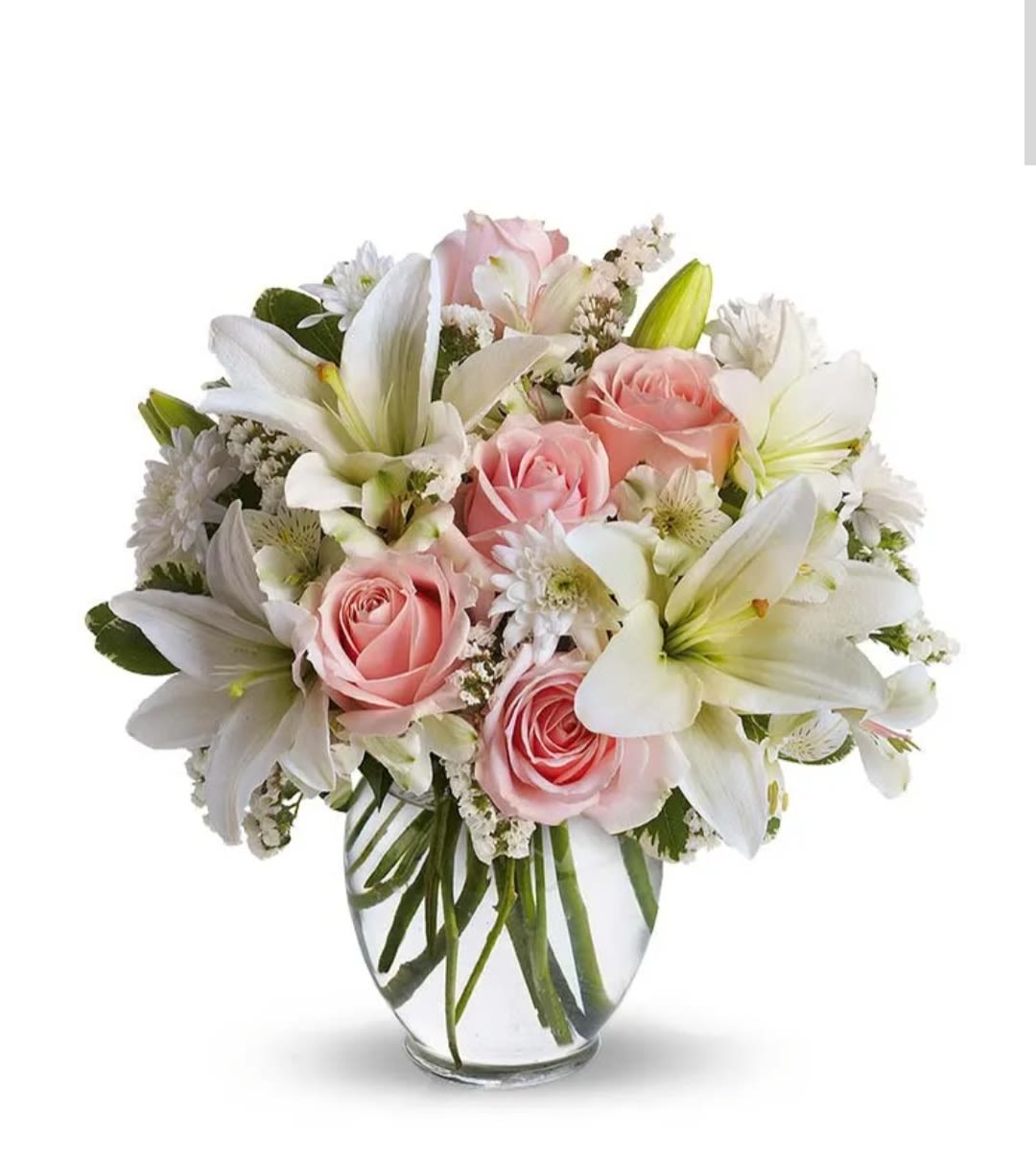 Sea Pink by Pretty in Petals Flowers Shop