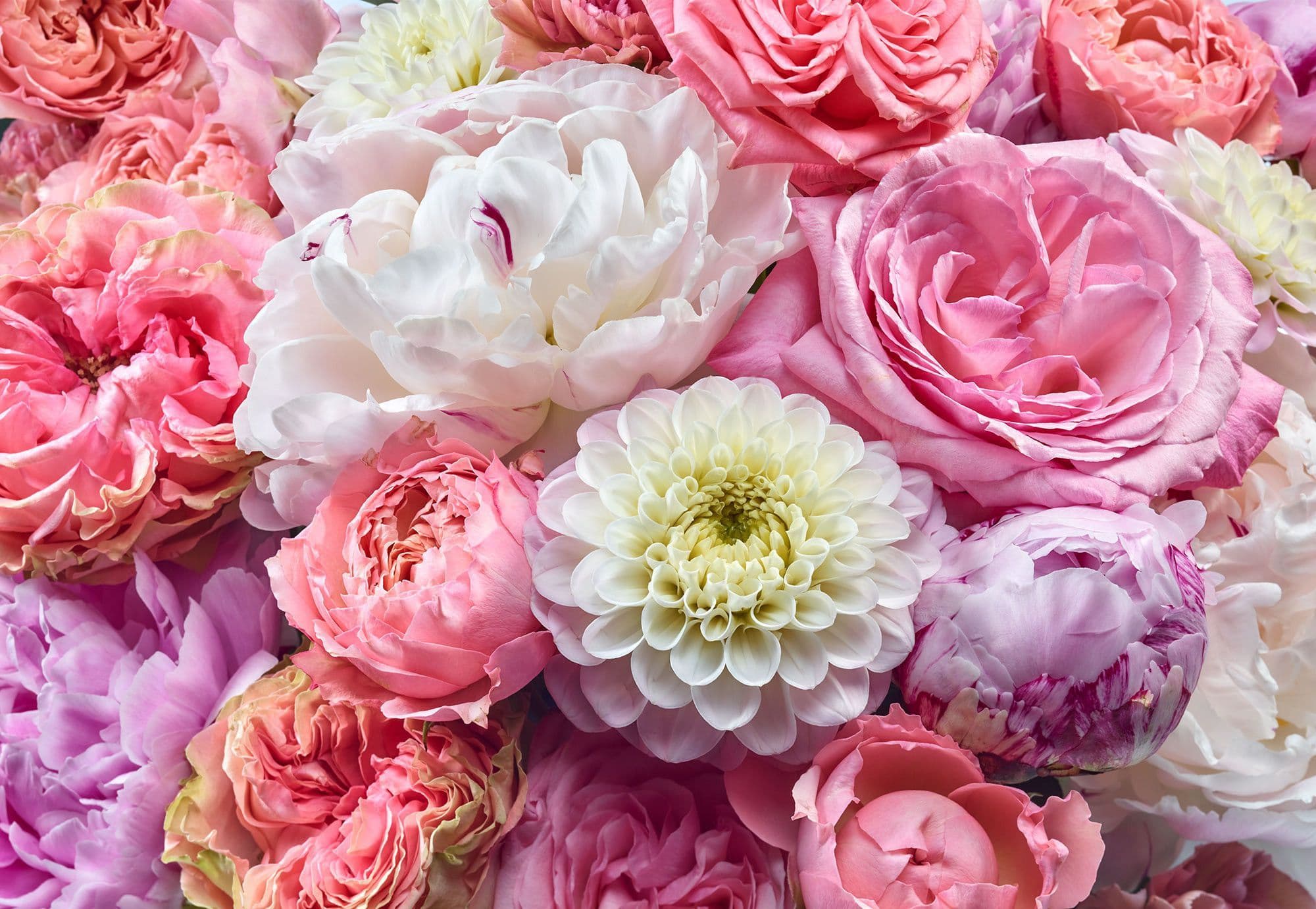 Seasonal Florist Design 