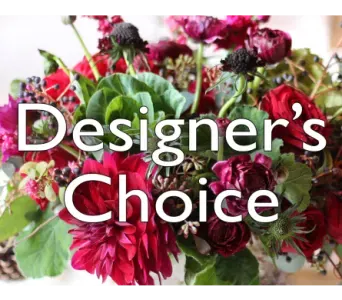 Designer's Choice $75