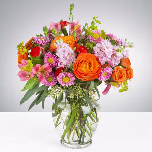 Designer's Choice for Fall