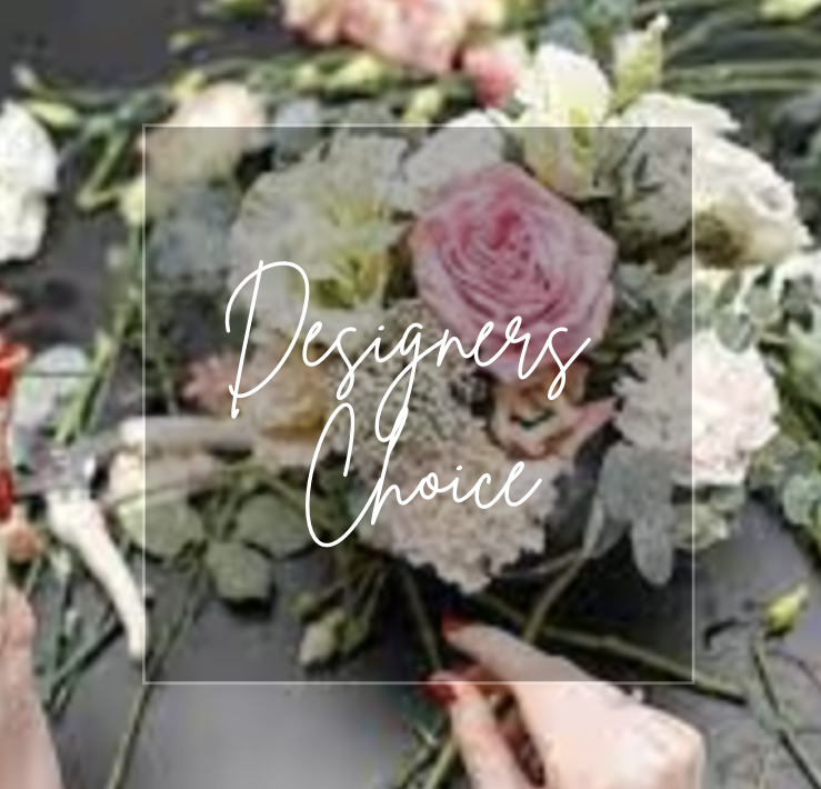 Designers Choice
