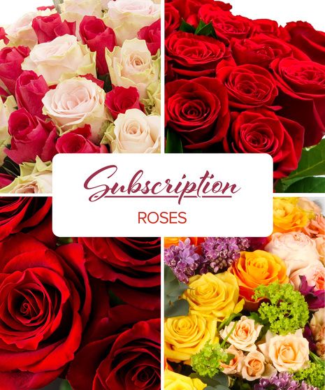 Dozen Roses Florist Choice  Florist Grade