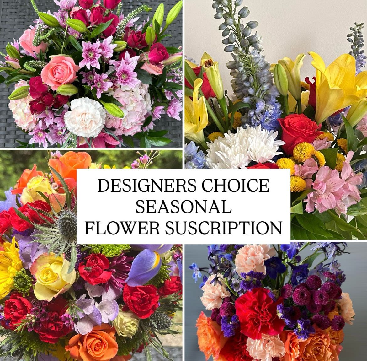 Designer's Choice - Seasonal