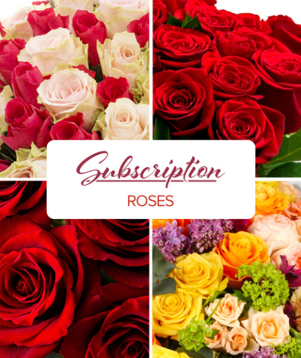 One Dozen Roses 