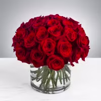 3 Dozen Red Roses