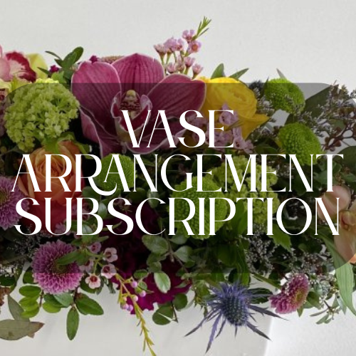 Designer's Choice Vase Arrangement Subscription