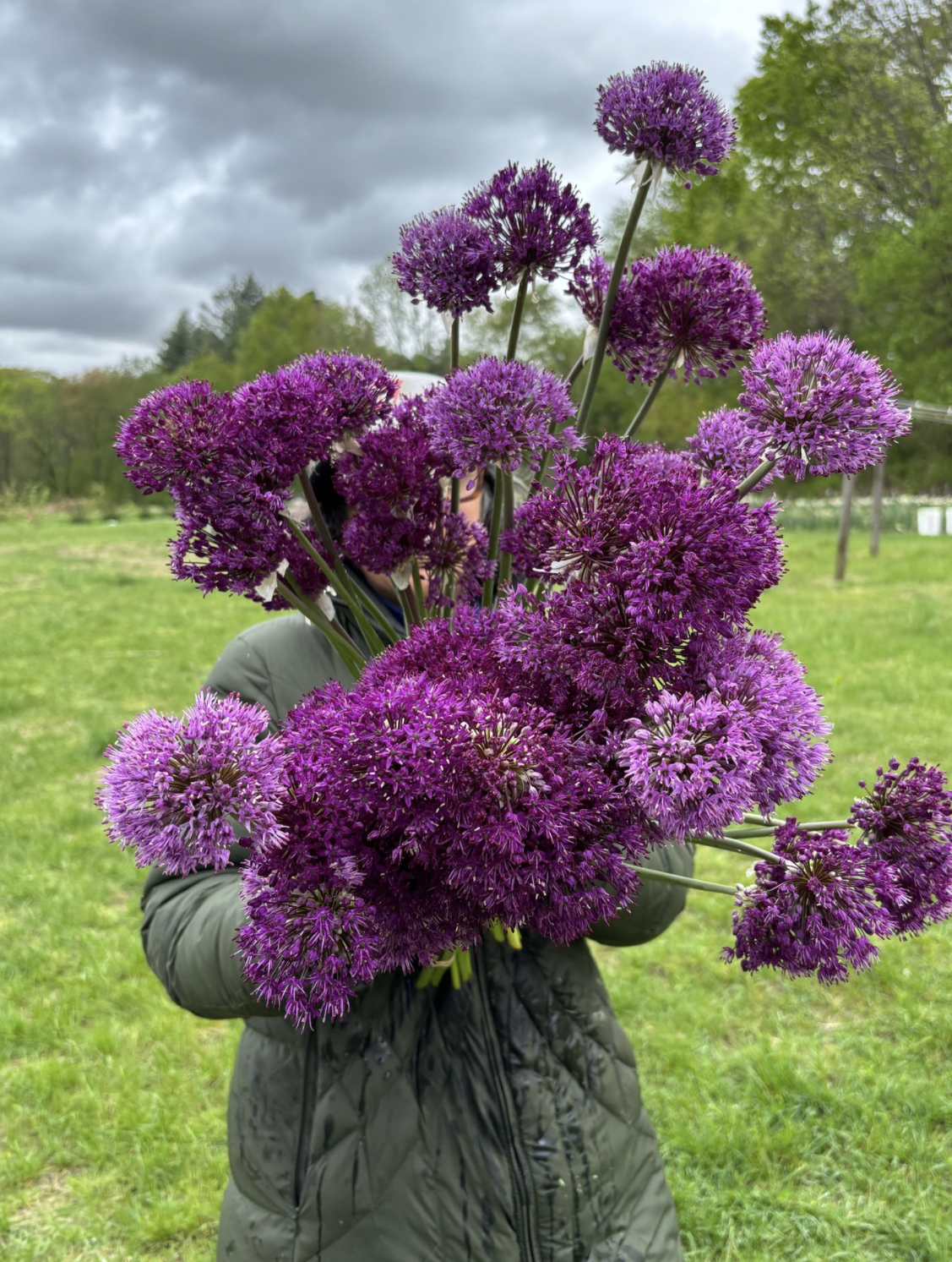Blossom + Stem Summer Bouquet Subscription 