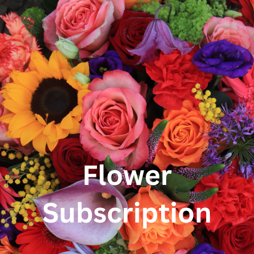 Designer's Choice: Seasonal Flowers 