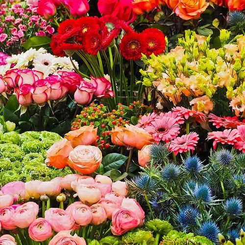 Seasonal Designer's Choice