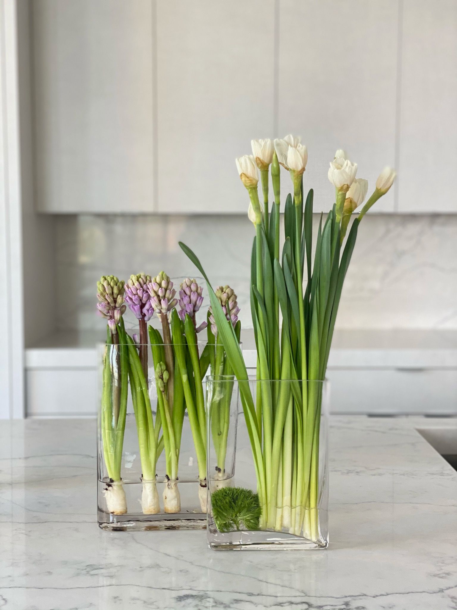 Classic Fresh Blooms