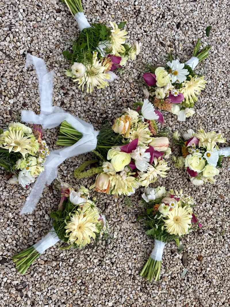 Pasta Gerbera Daisies|Calla lilys| Parrot Tulips|Butterly Ranunculus