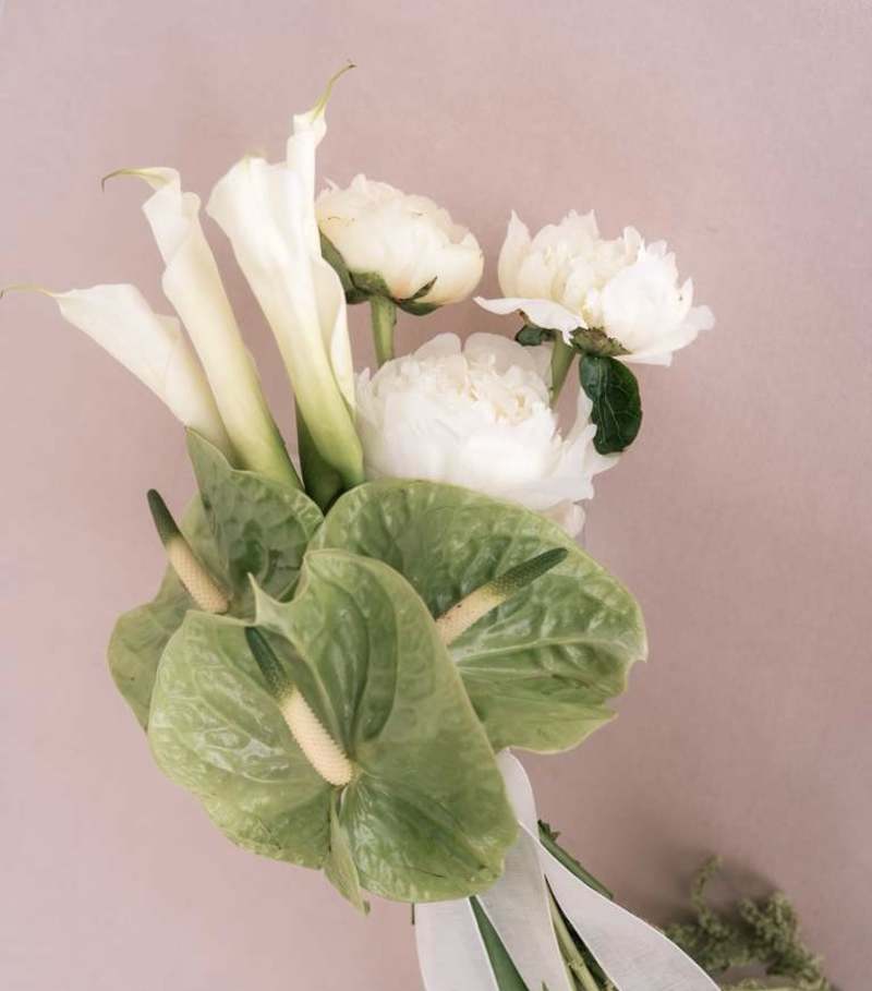 Where Love Blooms (Donde el amor florece)