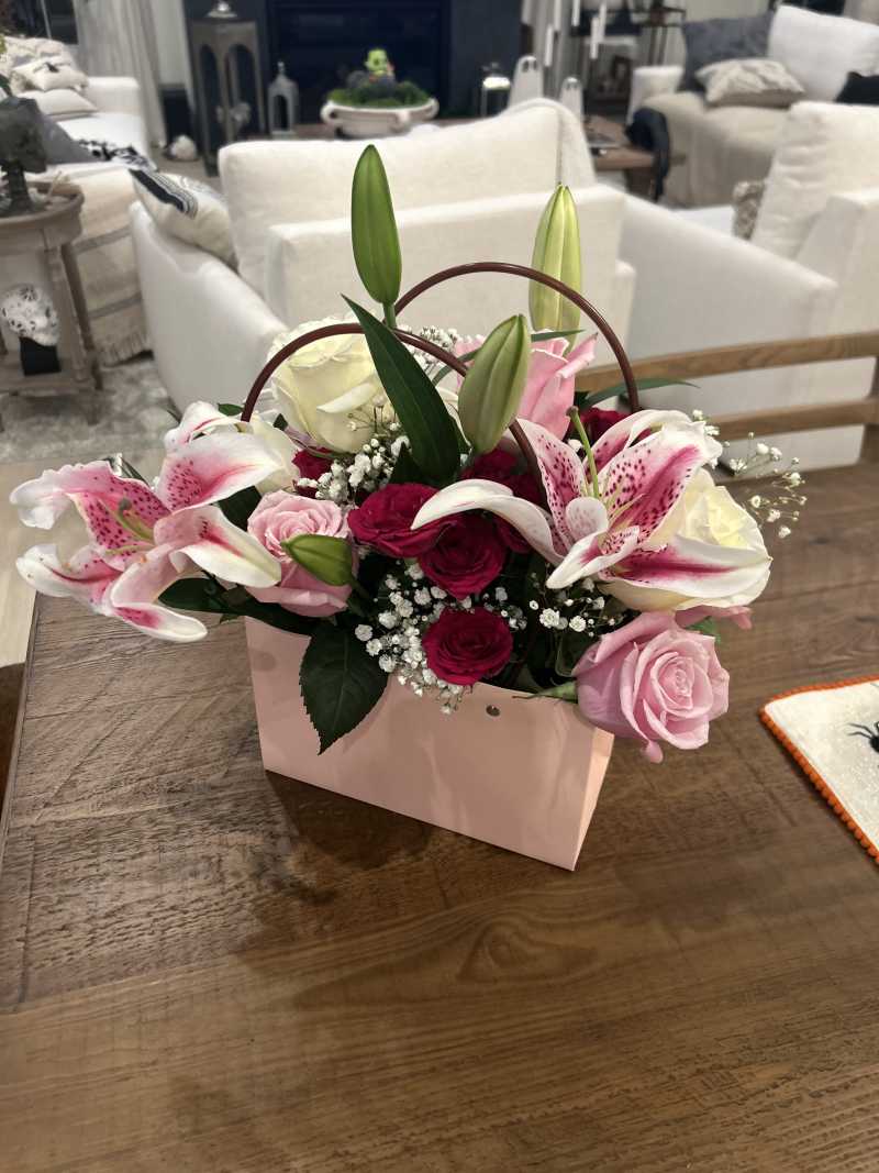 Pink Purse - sure to make her smile