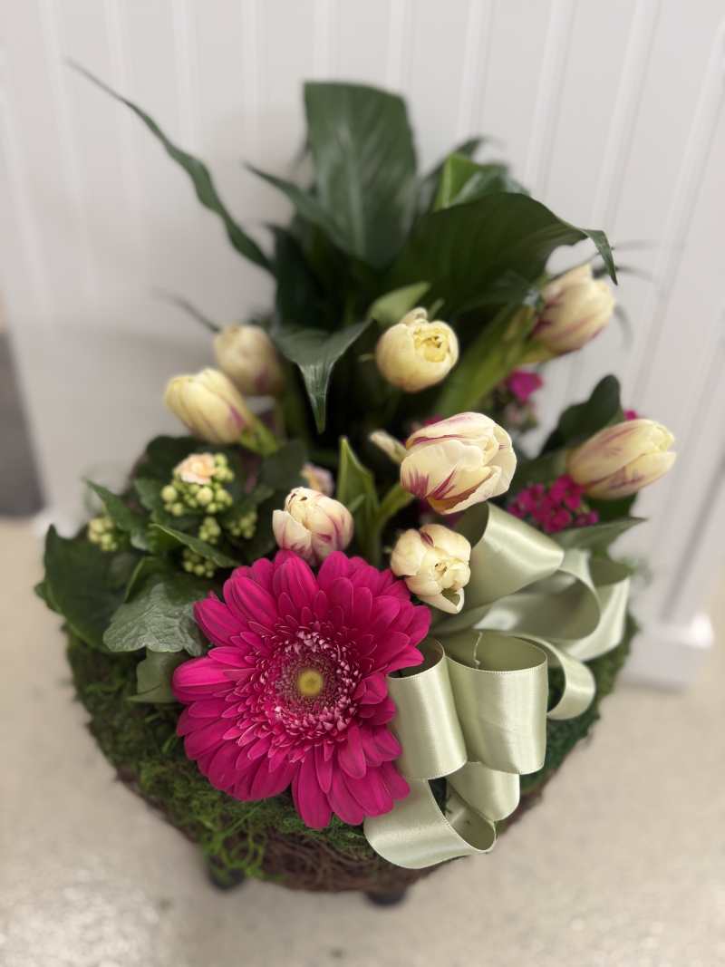 Dish Garden w/ fresh Flowers