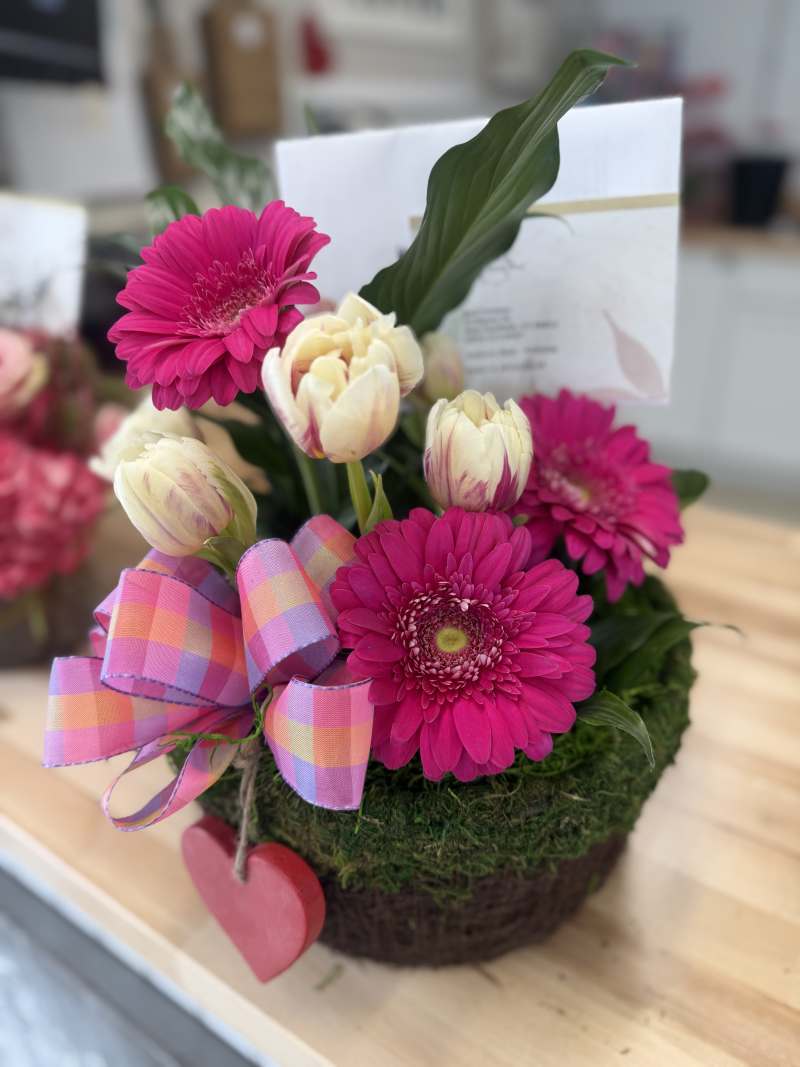 Dish Garden w/ fresh tulips & gerber daisies