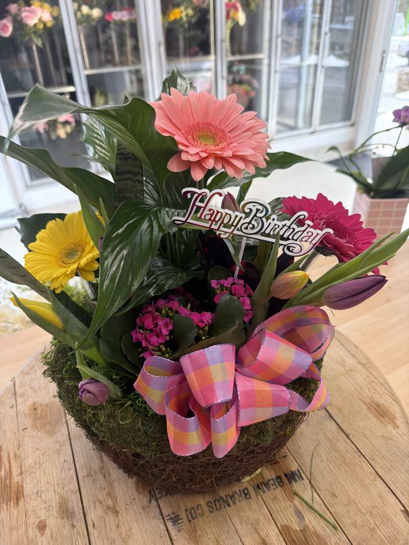 Dish Garden w/ fresh Flowers